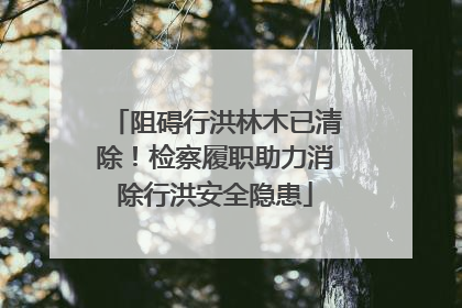 阻碍行洪林木已清除！检察履职助力消除行洪安全隐患
