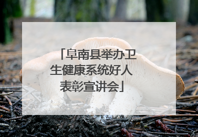 阜南县举办卫生健康系统好人表彰宣讲会
