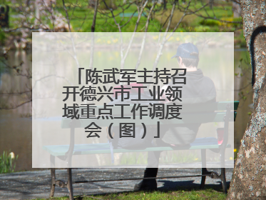 陈武军主持召开德兴市工业领域重点工作调度会（图）