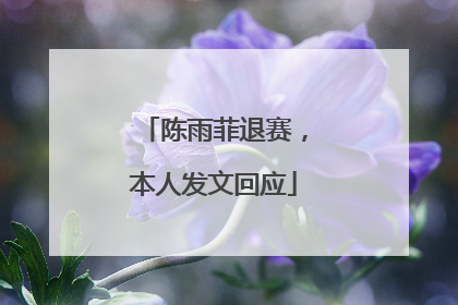 陈雨菲退赛，本人发文回应