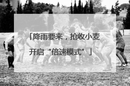 降雨要来，抢收小麦开启“倍速模式”