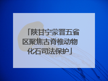 陕甘宁蒙晋五省区聚焦古脊椎动物化石司法保护