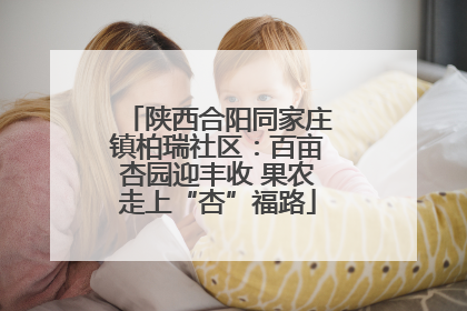 陕西合阳同家庄镇柏瑞社区：百亩杏园迎丰收 果农走上“杏”福路