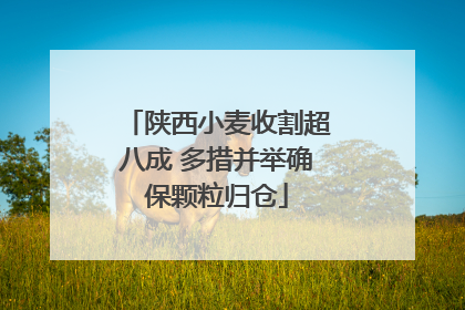 陕西小麦收割超八成 多措并举确保颗粒归仓