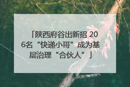 陕西府谷出新招 206名“快递小哥”成为基层治理“合伙人”