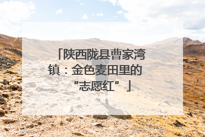 陕西陇县曹家湾镇：金色麦田里的“志愿红”