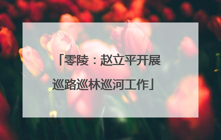零陵：赵立平开展巡路巡林巡河工作