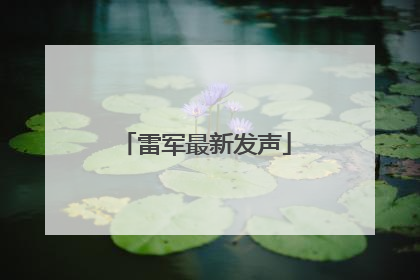 雷军最新发声