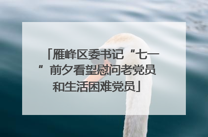 雁峰区委书记“七一”前夕看望慰问老党员和生活困难党员