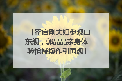 霍启刚夫妇参观山东舰，郭晶晶亲身体验枪械操作引围观