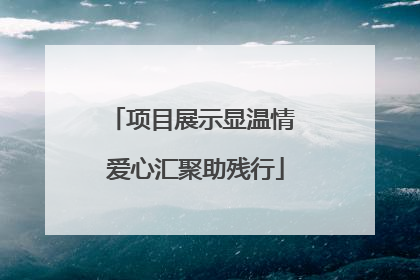 项目展示显温情 爱心汇聚助残行