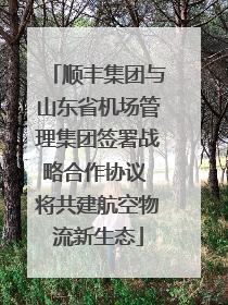 顺丰集团与山东省机场管理集团签署战略合作协议 将共建航空物流新生态
