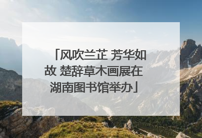 风吹兰芷 芳华如故 楚辞草木画展在湖南图书馆举办
