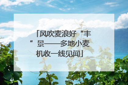 风吹麦浪好“丰”景——多地小麦机收一线见闻