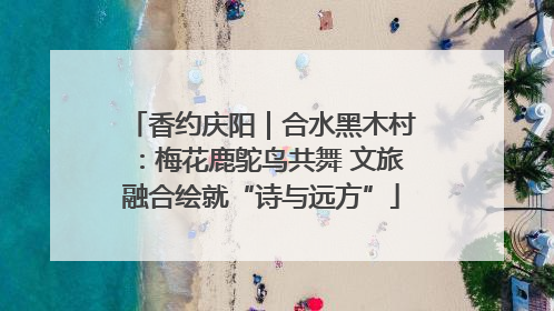 香约庆阳｜合水黑木村：梅花鹿鸵鸟共舞 文旅融合绘就“诗与远方”