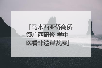 马来西亚侨商侨领广西研修 学中医看非遗谋发展