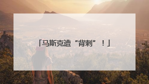 马斯克遭“背刺”！