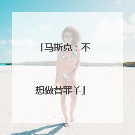 马斯克：不想做替罪羊