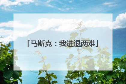 马斯克：我进退两难