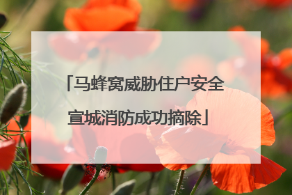 马蜂窝威胁住户安全 宣城消防成功摘除
