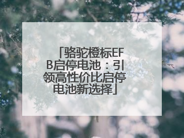 骆驼橙标EFB启停电池：引领高性价比启停电池新选择