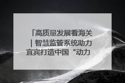 高质量发展看海关｜智慧监管系统助力宜宾打造中国“动力电池之都”