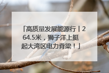 高质量发展能源行丨264.5米，狮子洋上挺起大湾区电力脊梁！