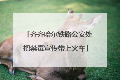齐齐哈尔铁路公安处把禁毒宣传带上火车