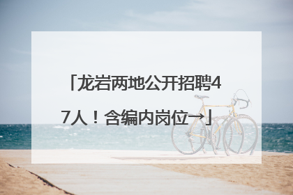 龙岩两地公开招聘47人！含编内岗位→