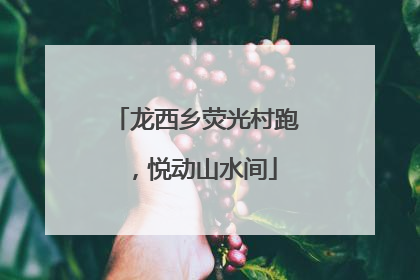 龙西乡荧光村跑，悦动山水间