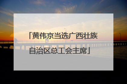 黄伟京当选广西壮族自治区总工会主席