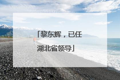 黎东辉，已任湖北省领导