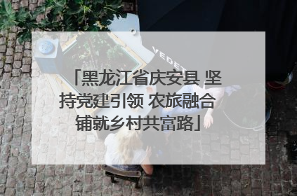 黑龙江省庆安县 坚持党建引领 农旅融合铺就乡村共富路