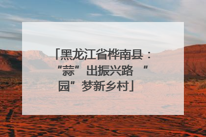 黑龙江省桦南县：“蒜”出振兴路 “园”梦新乡村