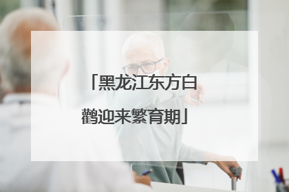 黑龙江东方白鹳迎来繁育期