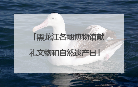 黑龙江各地博物馆献礼文物和自然遗产日