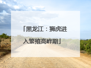 黑龙江：狮虎进入繁殖高峰期