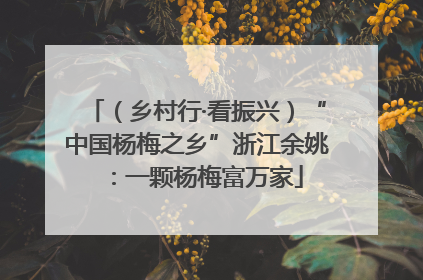 （乡村行·看振兴）“中国杨梅之乡”浙江余姚：一颗杨梅富万家