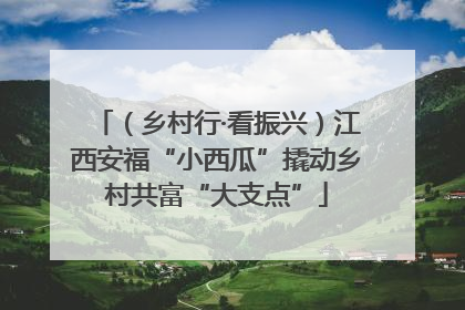 （乡村行·看振兴）江西安福“小西瓜”撬动乡村共富“大支点”