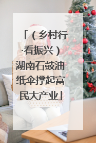 （乡村行·看振兴）湖南石鼓油纸伞撑起富民大产业