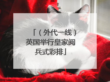 （外代一线）英国举行皇家阅兵式彩排