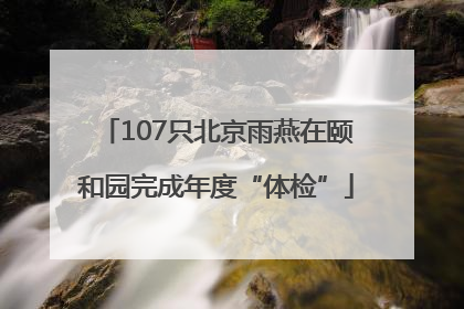 107只北京雨燕在颐和园完成年度“体检”
