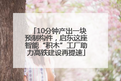 10分钟产出一块预制构件，启东这座智能“积木”工厂助力高铁建设再提速