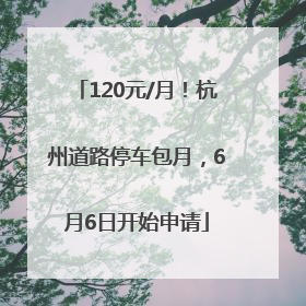 120元/月！杭州道路停车包月，6月6日开始申请
