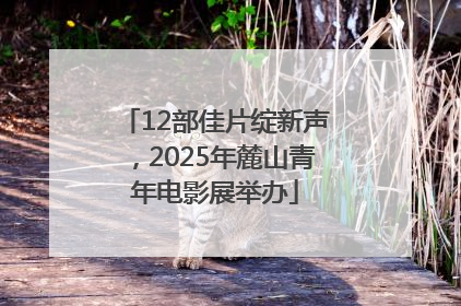 12部佳片绽新声，2025年麓山青年电影展举办