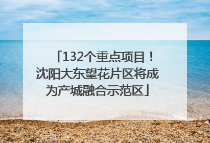132个重点项目！沈阳大东望花片区将成为产城融合示范区