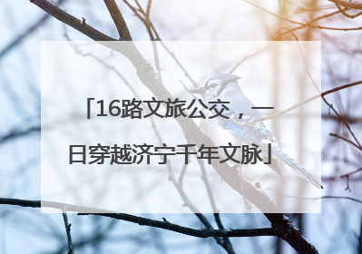 16路文旅公交，一日穿越济宁千年文脉