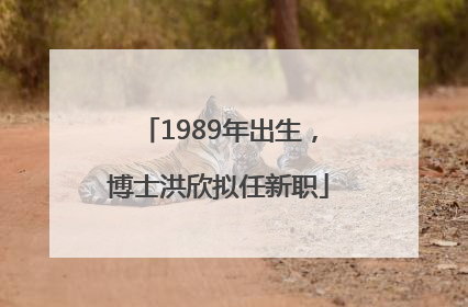 1989年出生，博士洪欣拟任新职