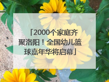 2000个家庭齐聚洛阳！全国幼儿篮球嘉年华将启幕