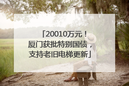 20010万元！厦门获批特别国债，支持老旧电梯更新